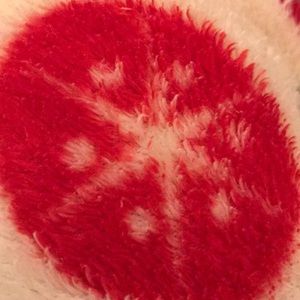 Meet your Posher, Michelle